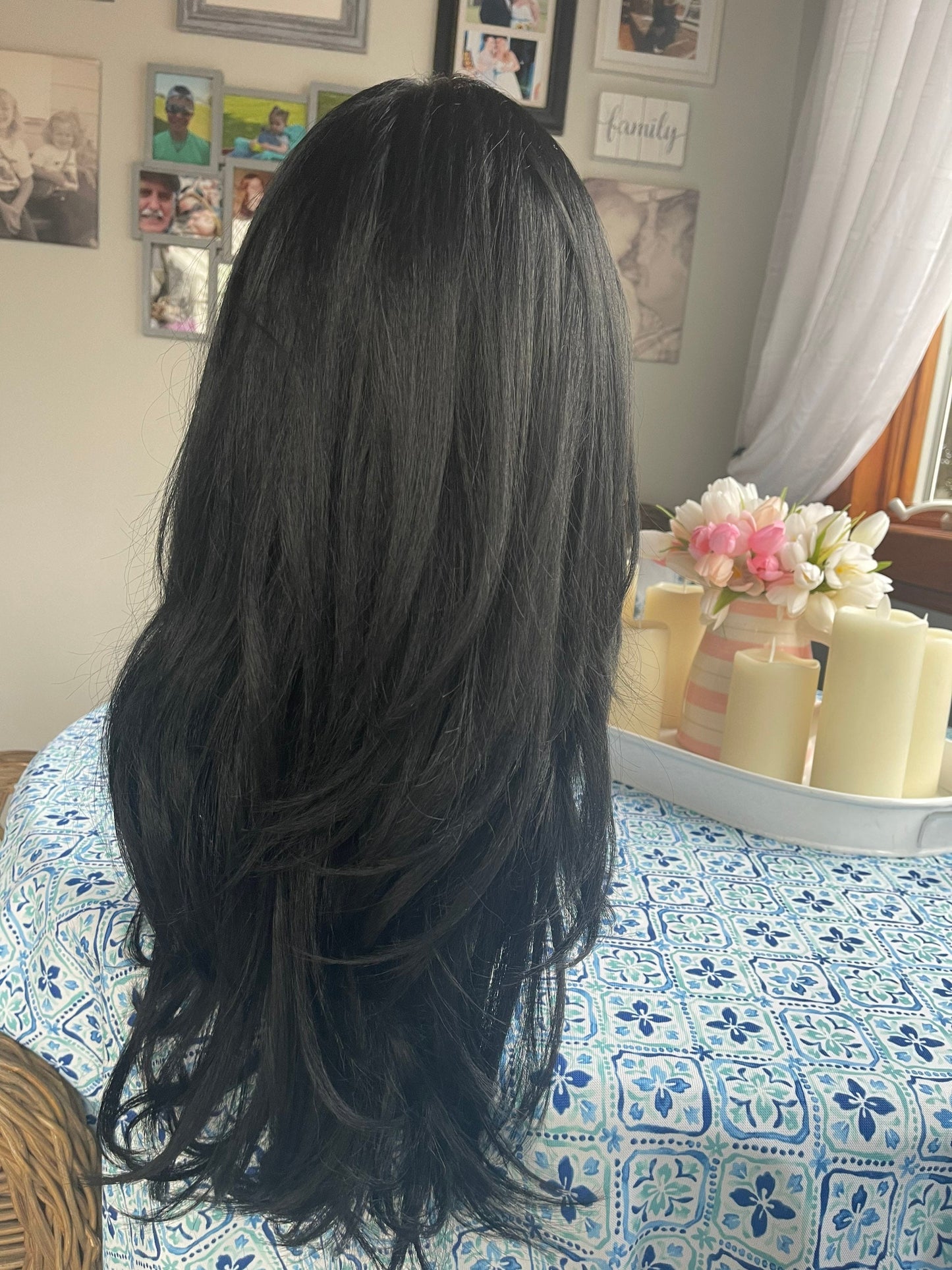 Charlotte Summer Weight HD Synthetic Jet Black Lace Front Light and Silky Hand Tied Drag Wig Sexy Straight Wig